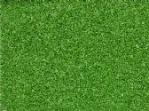 Ver Ficha de Arenilla verde
