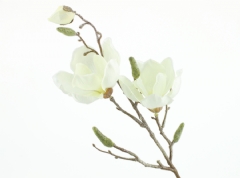 Rama de magnolia escarchada
