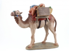 Ver Ficha de Camello con cajas