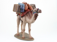 Ver Ficha de Camello con cajas