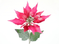 Ver Ficha de Pack 4 poinsetias rosas nevadas