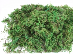 Musgo preservado verde (100 gr.)