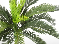 Ramillete de palmera