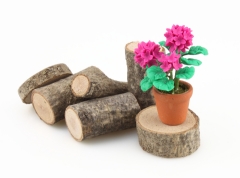Maceta con geranio rosa fucsia 4,5 cm.