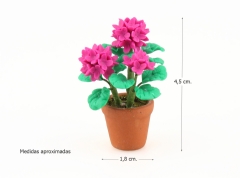 Maceta con geranio rosa fucsia 4,5 cm.