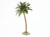 Ver Ficha de Palmera