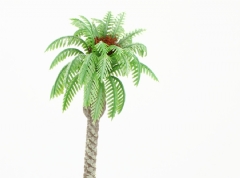 Palmera con peana de corcho