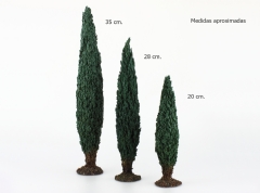 Ciprés 20 cm.
