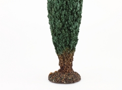 Ciprés 35 cm.