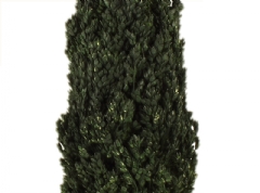 Ver Ficha de Ciprés 35 cm.