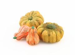 Ver Ficha de Calabaza Ø 3 cm.
