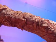 Fantas�a Belenista de Petra