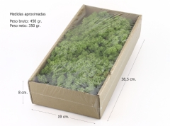 Musgo noruego preservado verde medio (Caja 350 gr.)