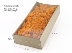 Ver Ficha de Musgo noruego preservado naranja (Caja 350 gr.)