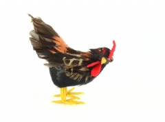 Gallo 25 cm.