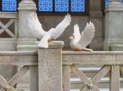 Ver Ficha de Paloma posándose (10 - 12 - 16 cm.)