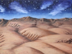 Ver Ficha de Fondo papel con montaña 100 x 70 cm. (Lote 2 UNI.)