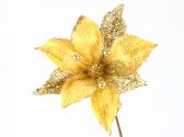 Ver Ficha de Magnolia oro