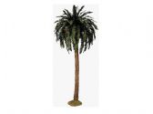 Ver Ficha de Palmera tronco modelado