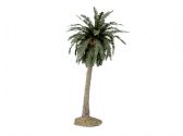 Ver Ficha de Palmera