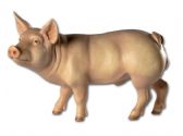 Ver Ficha de Cerdo