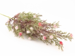 Ver Ficha de Rama de brezo con flores