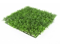 Plancha de hierba