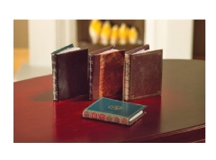 Ver Ficha de Libros antiguos (Bolsa 4 UNI. surtidos)