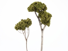 Ver Ficha de Follaje para árboles verde claro (Bolsa 12 gr.)