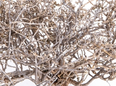 Ver Ficha de Arbusto - ramas secas surtidas (Caja 4/5 UNI.)